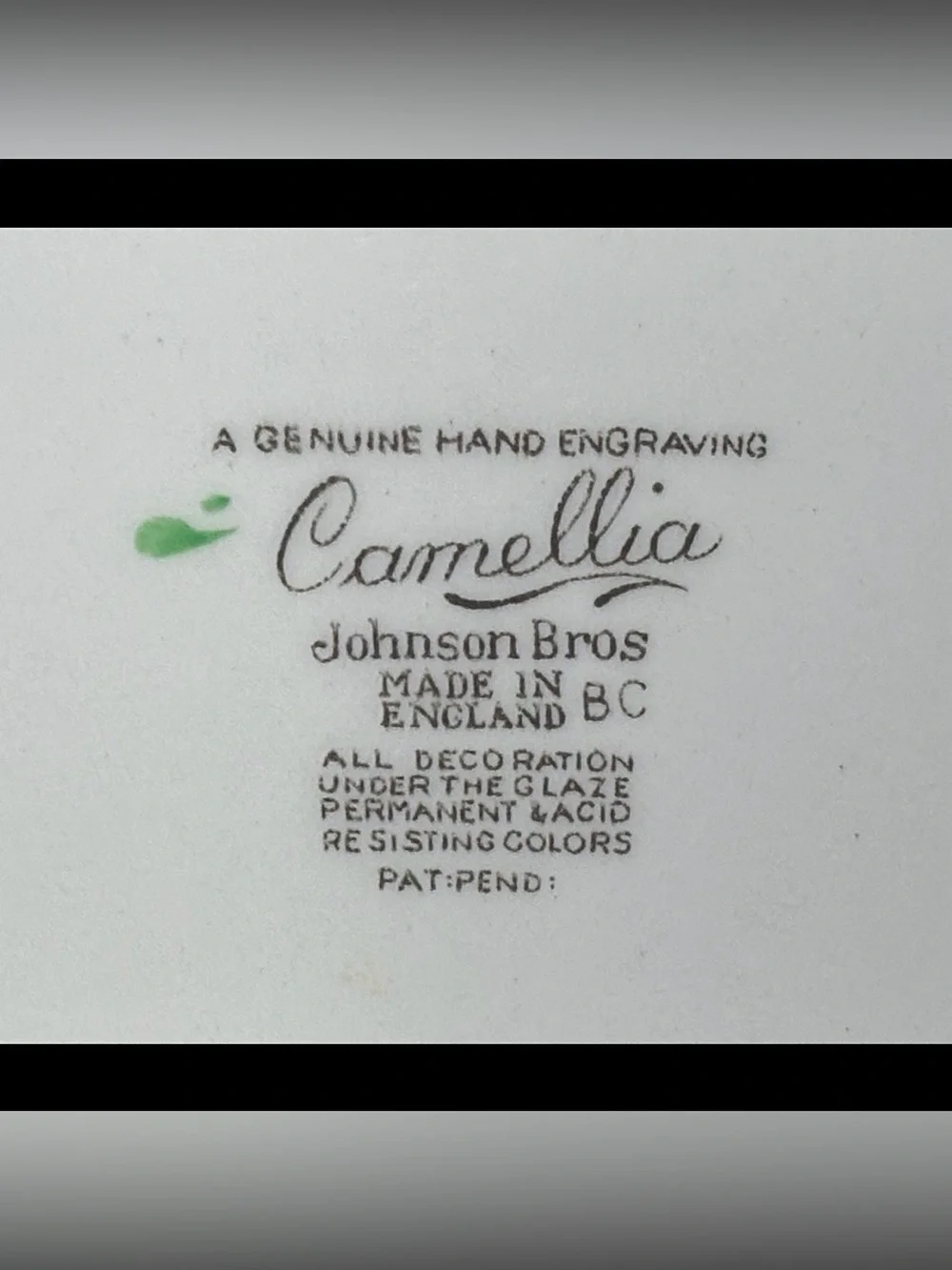 Vintage Johnson Brothers Camellia Floral Dinner Plates Set of 2 Cottagecore